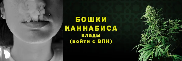 крисы Наволоки