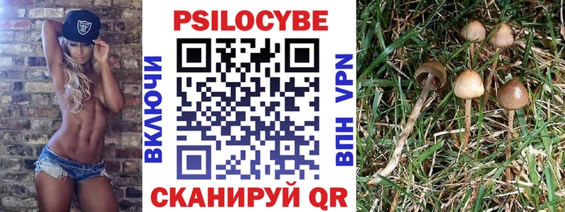 Галлюциногенные грибы прущие грибы  Чкаловск 